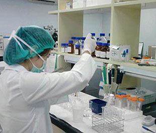 Trên thế giới vắcxin cúm A/H1N1 vẫn đang trong giai đoạn thử nghiệm.