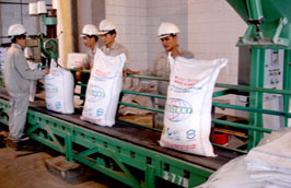 Khi đồng loạt đi vào sản xuất, các nhà máy sẽ cung cấp cho thị trường từ 150.000- 200.000 tấn đường/tháng.