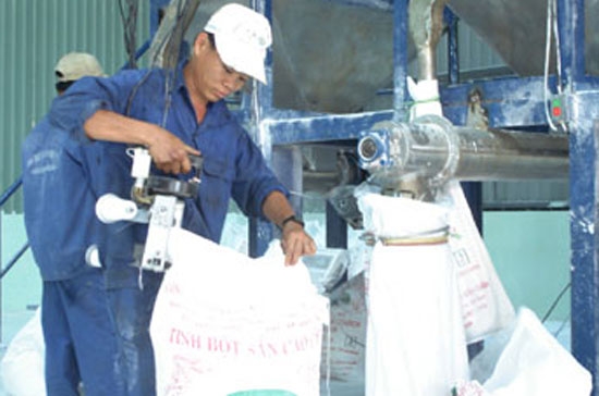 Đóng gói tinh bột sắn xuất khẩu.