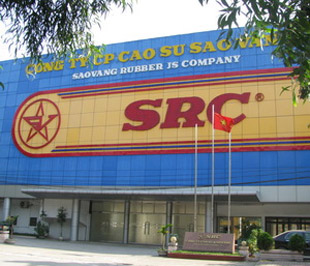 Đại hội cổ đông Công ty Cao su Sao Vàng đã thông qua kế hoạch sản xuất kinh doanh năm 2009 với doanh thu đạt 970 tỷ đồng; lợi nhuận trước thuế đạt 22 tỷ đồng.