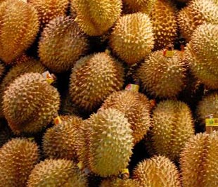 Sầu riêng xuất khẩu sang Nhật sẽ được hưởng thuế suất 0%.