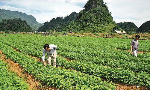 Quản trị doanh nghiệp tốt: 