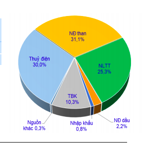 Cơ cấu điện năm 2020.