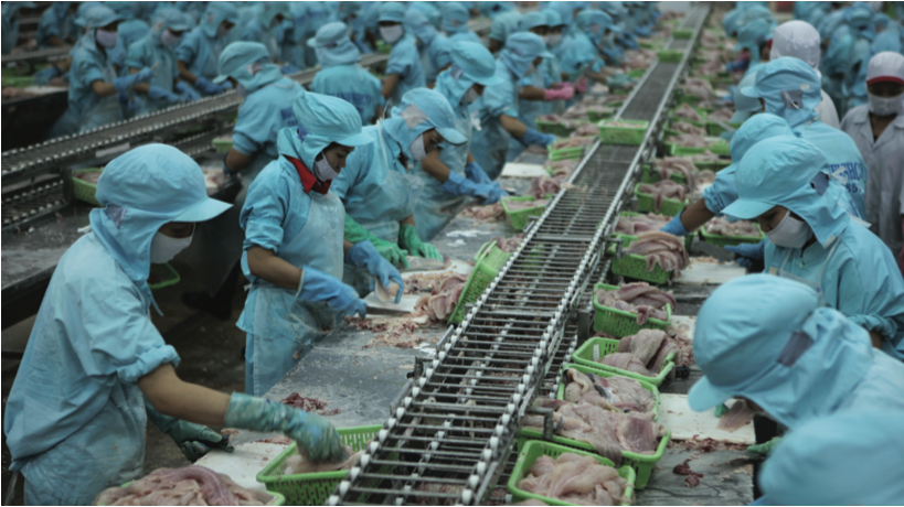 Dự kiến năm 2021 xuất khẩu thuỷ sản sẽ đạt trên 9,4 tỷ USD, tăng 10% so với năm 2020