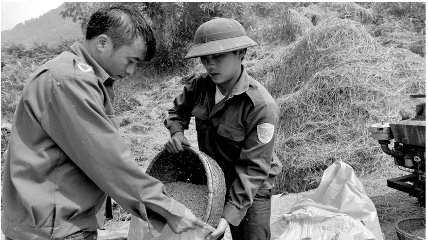 Mỗi năm, Việt Nam đáp ứng khoảng 50% nhu cầu nhập khẩu gạo của Trung Quốc, tương đương 35% kim ngạch xuất khẩu gạo của Việt Nam.