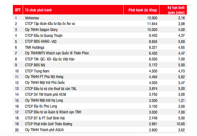 Top 20 doanh nghiệp bất động sản phát hành trái phiếu nhiều nhất trong năm 2020.