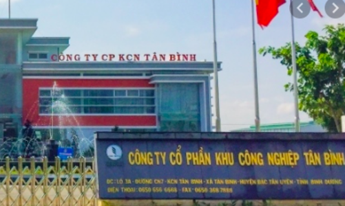 Cao su Phước Hoà dự kiến lợi nhuận giảm mạnh trong năm 2021 