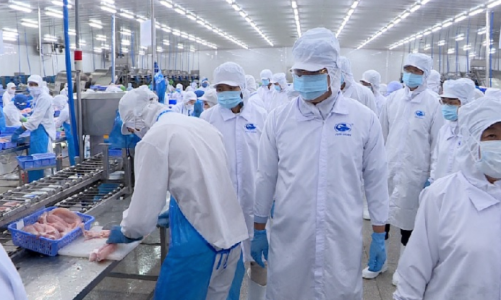 Xuất khẩu suy yếu, doanh thu tháng 2 của Vĩnh Hoàn giảm 31%, đạt 436 tỷ đồng