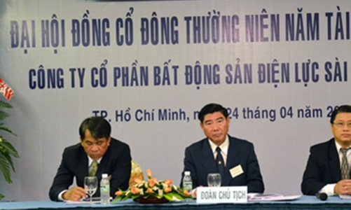 EVN đang cấp tập thoái vốn khỏi ngân hàng, bất động sản