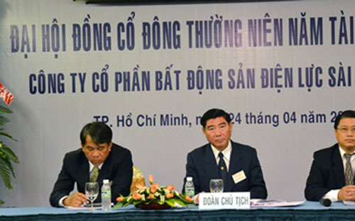 Theo yêu cầu của Thủ tướng, EVN phải thoái vốn hoàn toàn khỏi các lĩnh vực tài chính, ngân hàng, bất động sản, trong đó có vốn tại Công ty Bất động sản Điện lực Sài Gòn Vina.<br>