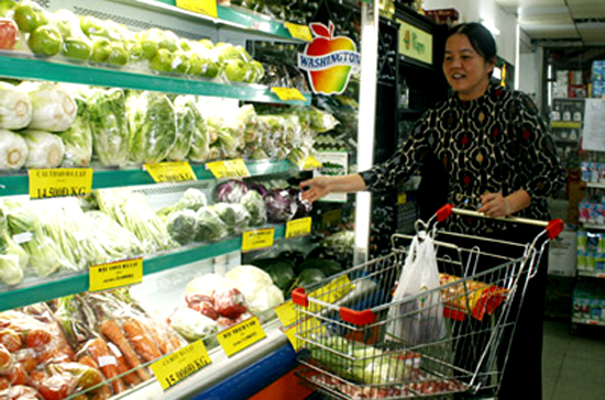 CPI đang “lao dốc” mạnh, từ đỉnh cao tại mức tăng 1,96% của tháng 2/2010 xuống 0,75% trong tháng 3, và tháng này là tốc độ tăng rất thấp.