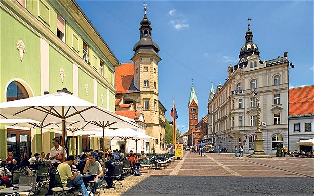 Đặc trưng của nền kinh tế Slovenia là tính chất mở cửa với khoảng khoảng 2/3 trao đổi thương mại của Slovenia là với các nước thành viên EU, do đó hàng hoá Việt Nam hoàn toàn có thể đi qua Slovenia để vào EU.