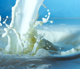 Sản phẩm sữa tươi bán tại Việt Nam chi phí cho nguyên liệu là 34% giá bán, chi phí đóng gói chiếm 15%, chi phí sản xuất khác 10%. Trong khi đó, lợi nhuận của nhà chế biến chiếm tới 28% và chi phí cho phân phối và bán lẻ là 13%.