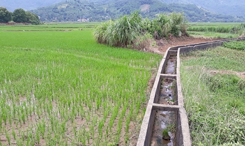 Hà Nội thu hồi 29 dự án vì vi phạm pháp luật đất đai