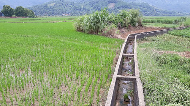 Dự án Xây dựng khu đô thị Tiến Xuân tại xã Tiến Xuân và Đông Xuân của Công ty TNHH Một thành viên SUDICO Tiến Xuân nhiều năm vẫn trên giấy.