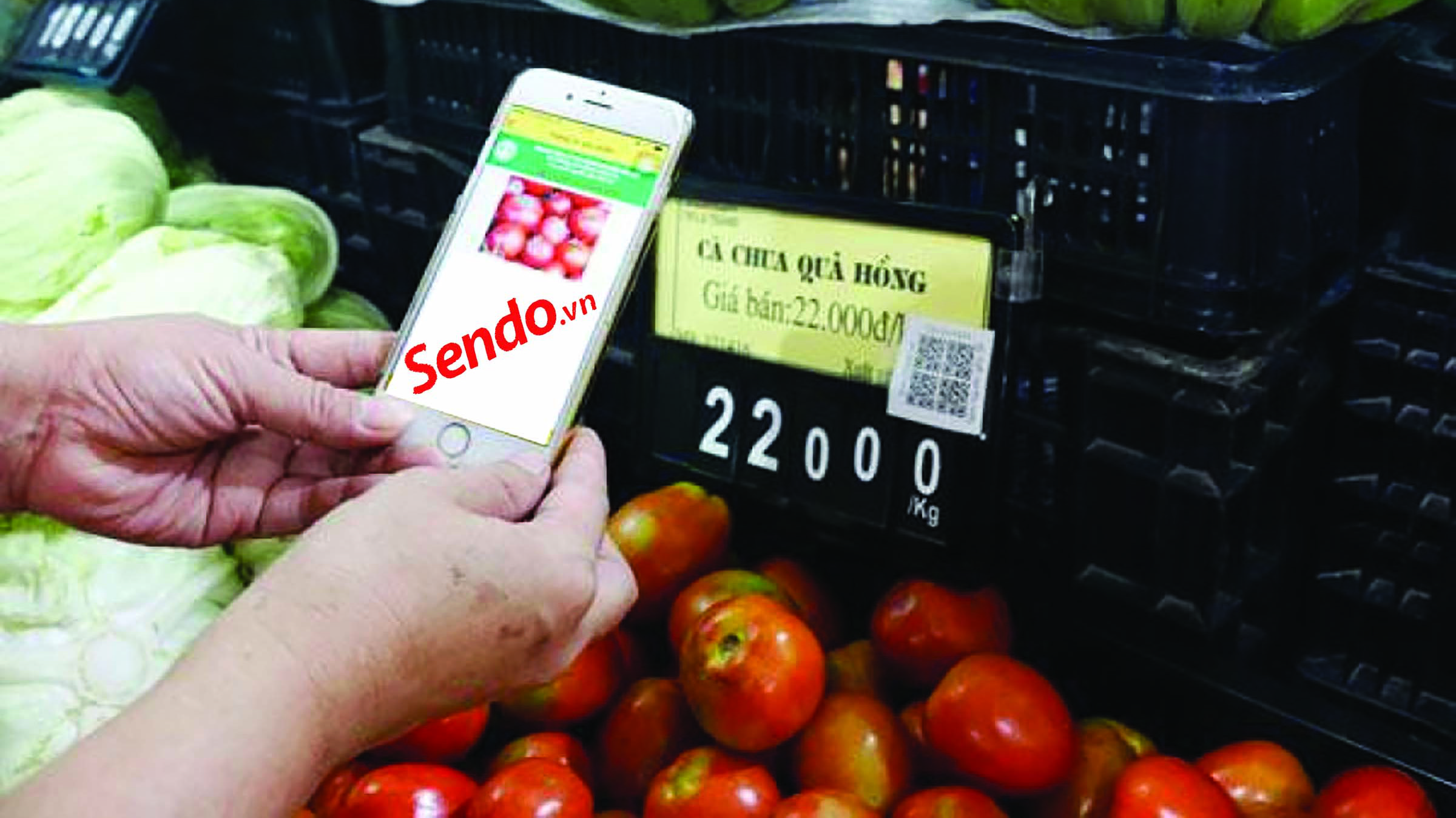 VnEconomy