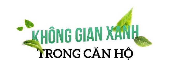 Căn hộ bảo vệ sức khỏe tại Nam Sài Gòn - Ảnh 2.