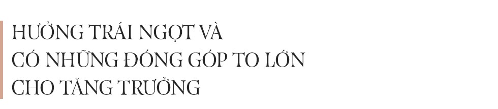 “Hãy mơ cùng giấc mơ của Việt Nam” - Ảnh 5.