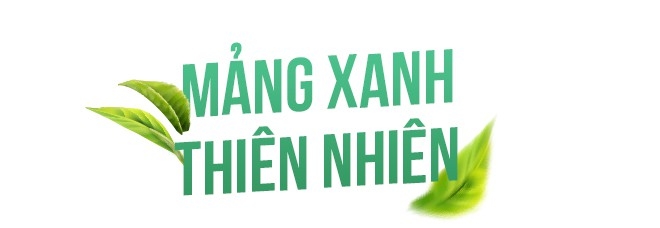 Căn hộ bảo vệ sức khỏe tại Nam Sài Gòn - Ảnh 5.