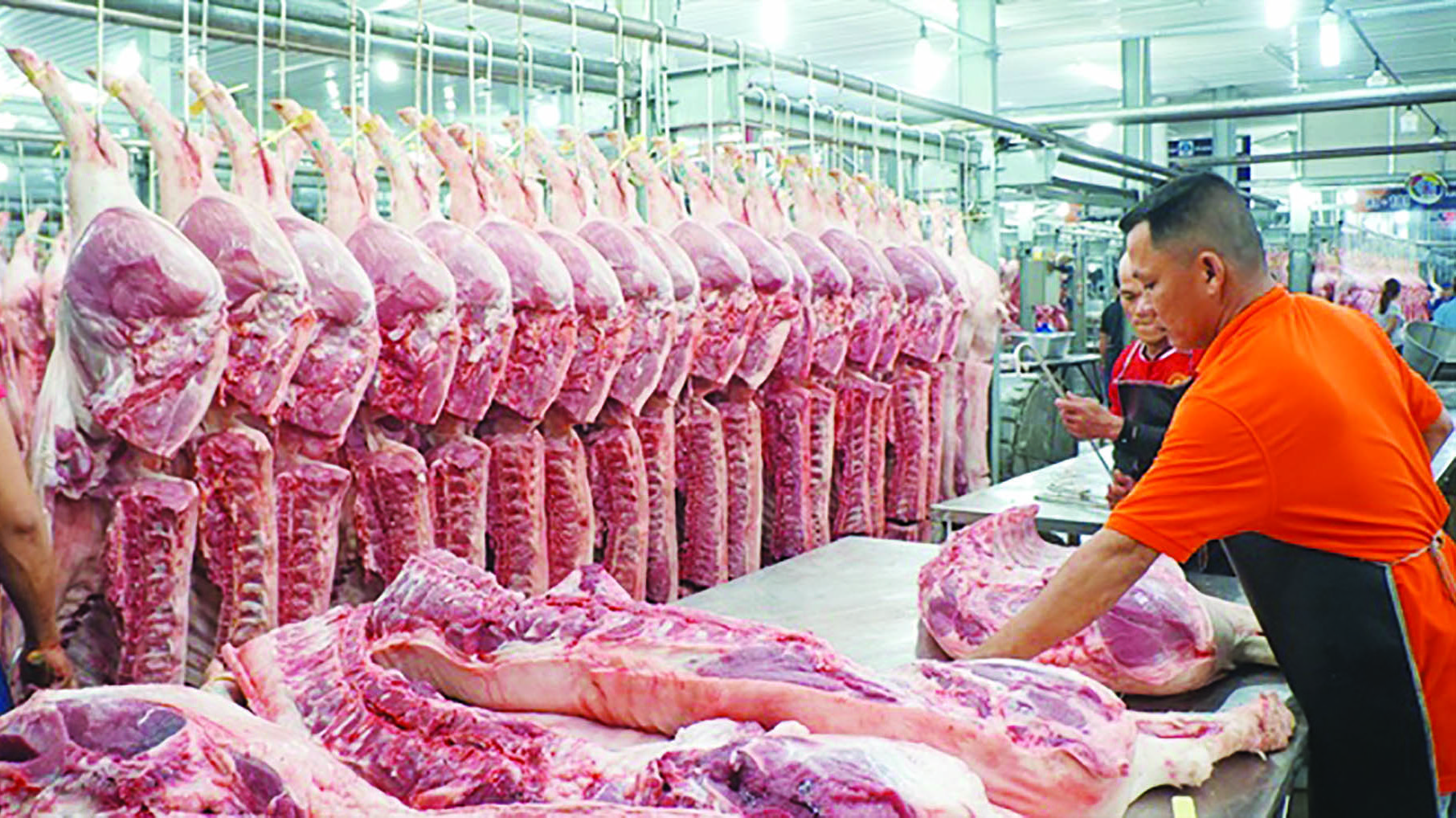 Bộ Nông nghiệp & Phát triển nông thôn vẫn khẳng định nguồn cung thịt lợn đáp ứng đủ nhu cầu tiêu dùng Tết.