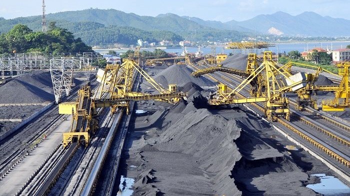 Ngành, nghề kinh doanh chính của TKV là khảo sát, thăm dò, đầu tư, xây dựng, khai thác, vận tải, sàng tuyển, chế biến, mua, bán, xuất khẩu, nhập khẩu các sản phẩm than, khí mỏ, nước ngầm...