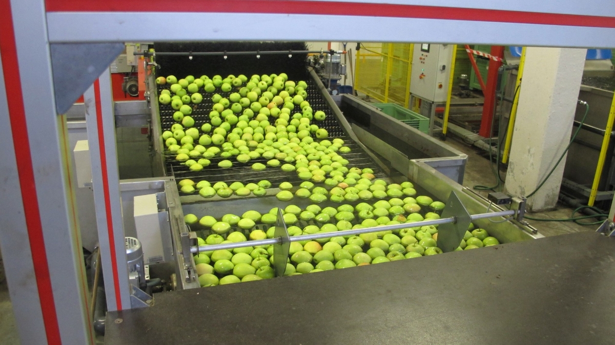 Hợp tác trong nông nghiệp giữa Ba Lan và Việt Nam đã có sự tăng trưởng trong vài năm gần đây.