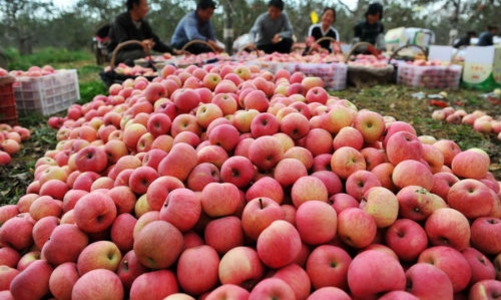 Hàng nghìn mặt hàng sẽ vào Việt Nam với thuế 0% nhờ ACFTA