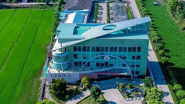 Hiện mã LTG đang trong thời gian hồi phục sau khi giảm sâu.