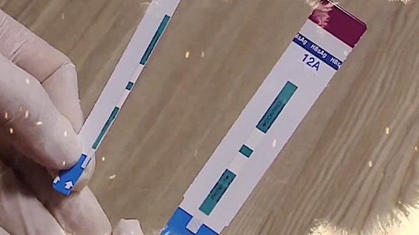 Hình ảnh cắt đôi test nghiệm trong phóng sự của VTV 24. 