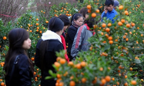 Nghỉ Tết 9 ngày, bắt đầu từ 28 tháng Chạp