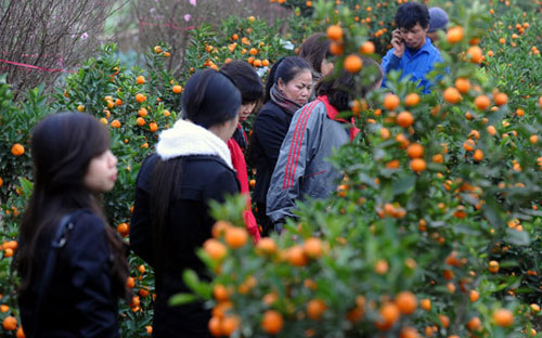 Tết Nguyên đán Giáp Ngọ sắp tới gần như là lần đầu tiên người lao động được nghỉ tết trước 2 ngày.<br>