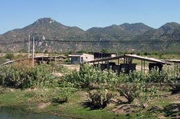 Khu đất dự kiến xây Khu liên hợp thép Cà Ná vẫn bỏ hoang sau 2 năm động thổ.