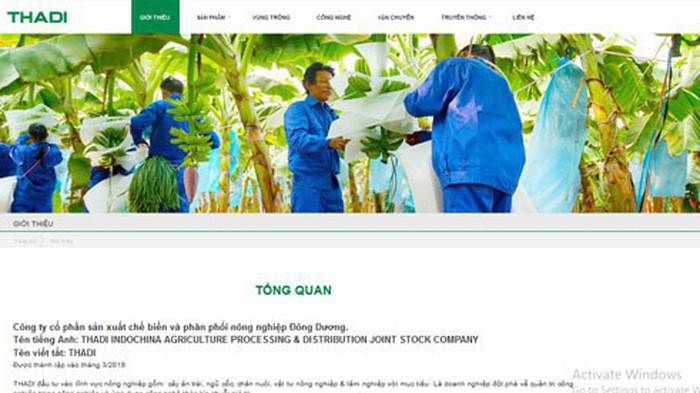 Trang web của Công ty sản xuất chế biến và phân phối nông nghiệp Thadi. 