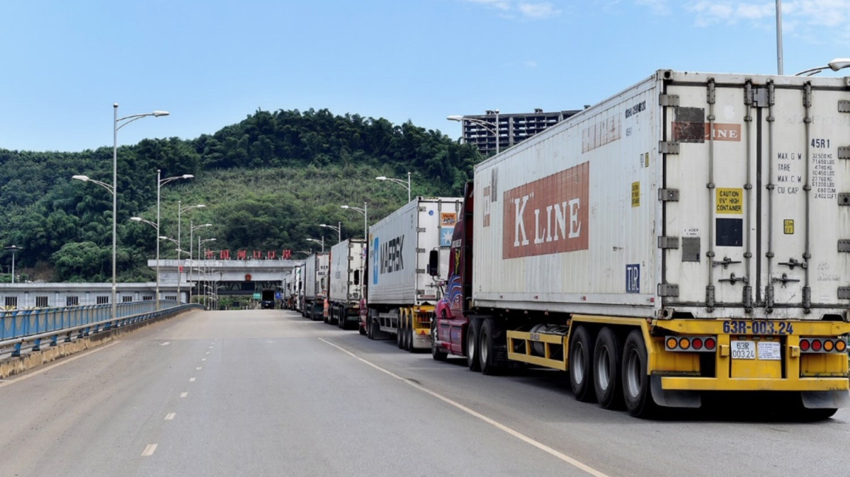 Cơ quan hải quan sẽ từ chối chứng từ chứng nhận xuất xứ hàng hóa đối với một số trường hợp không đủ thông tin theo yêu cầu. Ảnh minh hoạ.