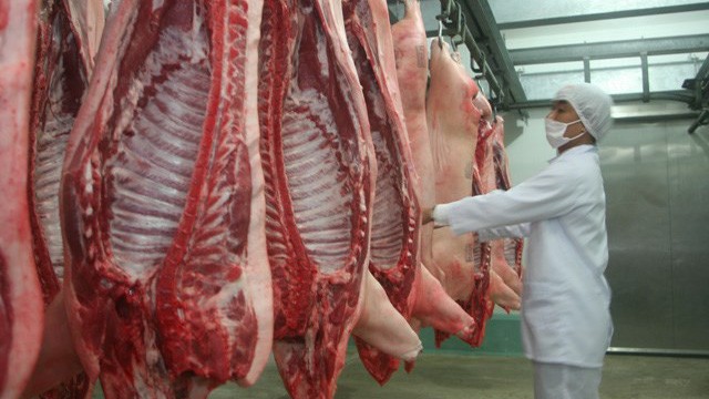 Hiện nay đàn lợn nái nuôi tại các doanh nghiệp đã tăng bình quân 11,5% so với cùng kỳ năm 2017.