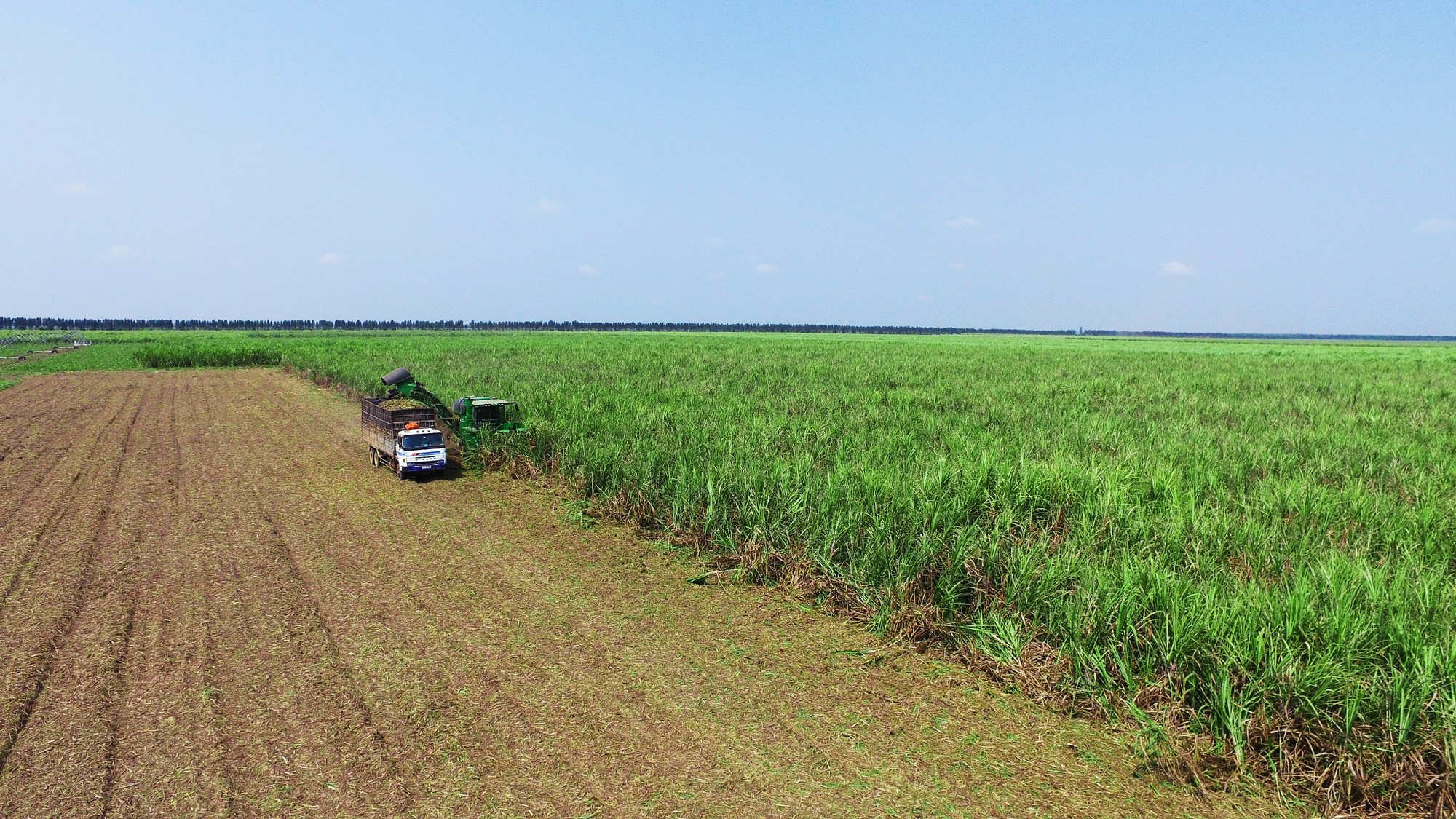 SBT tiếp tục duy trì vị thế trong rổ VN30 - Ảnh 1.