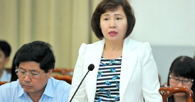 Trước khi được bổ nhiệm làm Thứ trưởng vào năm 2010, bà Hồ Thị Kim Thoa đã có 18 năm công tác tại Công ty Cổ phần Bóng đèn Điện Quang.<br>