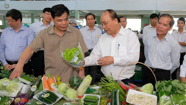 Thủ tướng Nguyễn Xuân Phúc tham quan mô hình rau sạch tại Lâm Đồng.