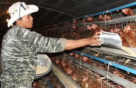 Dự báo nhu cầu về thức ăn chăn nuôi của cả nước trong năm 2010 có thể lên tới 17 triệu tấn.