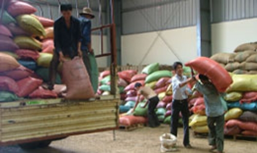 Xuất khẩu cà phê và bài học cay đắng