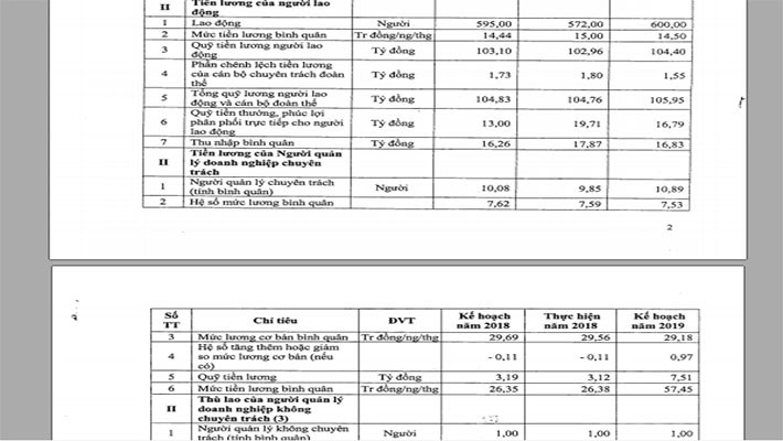 Lương kế hoạch 2019 của Vinataba: Sếp tăng gấp đôi, nhân viên dậm chân tại chỗ - Ảnh 1.