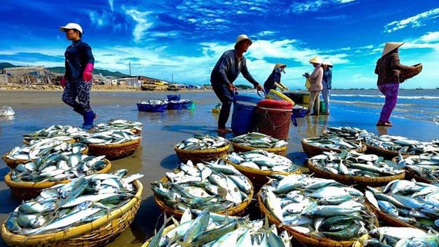 Vượt Mỹ, EU trở thành nơi tiêu thụ thuỷ sản số một của Việt Nam.