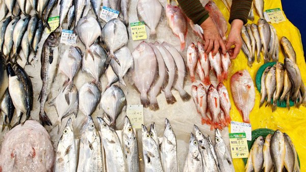 Trong năm 2018, chỉ có 4 thị trường nhập khẩu thủy sản giảm kim ngạch so với năm 2017.