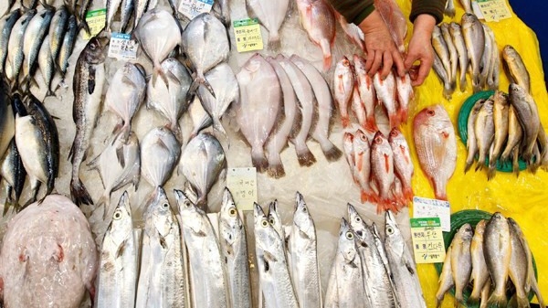 Thặng dư thương mại nhóm ngành nông lâm thủy sản tháng 1/2019 ước đạt 583 triệu USD, giảm 20% so với cùng kỳ năm 2018.