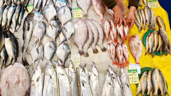 Xuất khẩu cá tra sang thị trường Nhật Bản tăng đột biến trong 4 tháng đầu năm, top 10 thị trường nhập khẩu lớn cá tra nhiều nhất của Việt Nam. Ảnh minh hoạ.