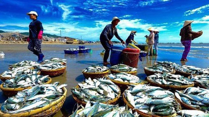 Trong hai tháng đầu năm 2019, xuất khẩu thủy sản đạt 1,11 tỷ USD và nhập khẩu thủy sản đạt 264 triệu USD. Ảnh minh hoạ 