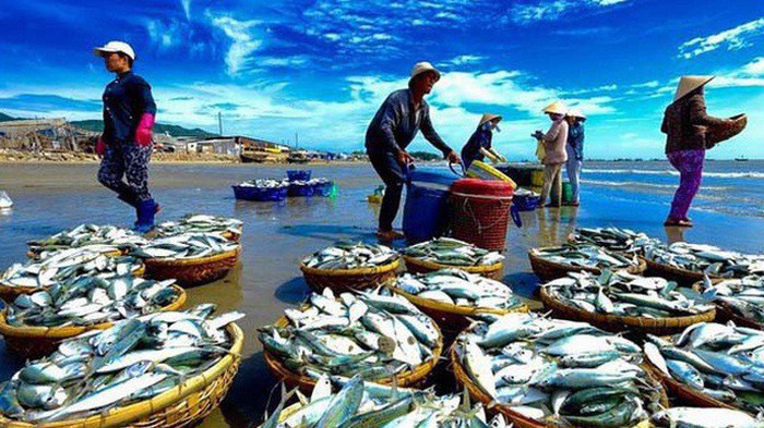 Biện pháp khắc phục hậu quả là buộc thả thủy sản còn sống trở lại môi trường sống của chúng.