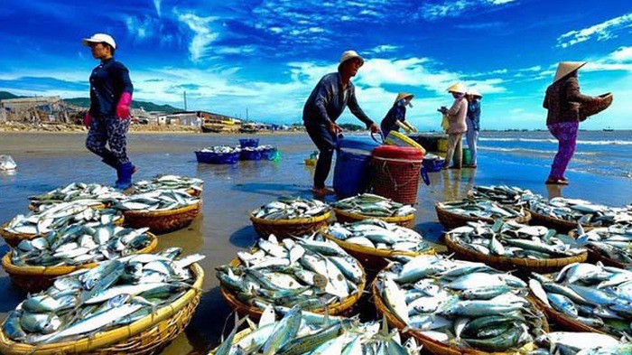 EU là thị trường khó tính với những tiêu chuẩn cao.