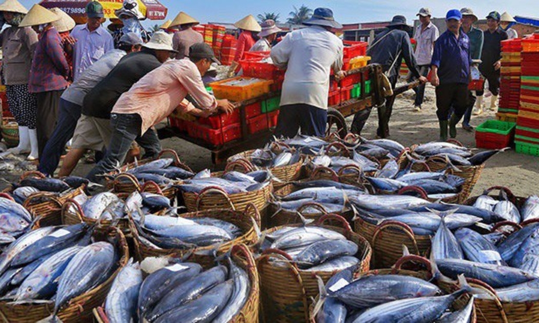 Ngành thuỷ sản đang đứng trước cơ hội
