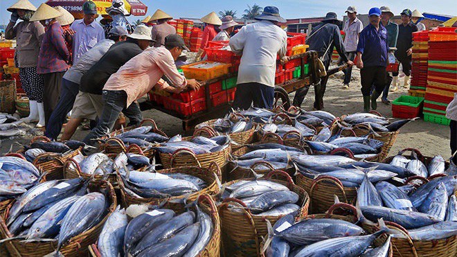 Ngành thuỷ sản đang đứng trước cơ hội "hoàng kim" về xuất khẩu.